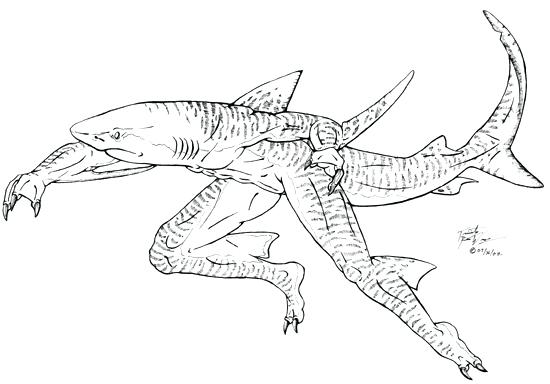 Realistic Shark Coloring Pages Great White Shark Coloring Pages 550x384 Realistic Shark Coloring Pages Great White Shark Coloring Pages