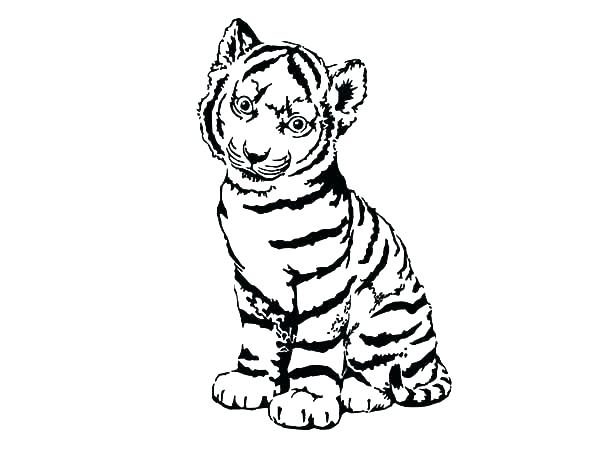 600x450 Daniel Tiger Coloring Pages Printable Idea Tiger Coloring Pages