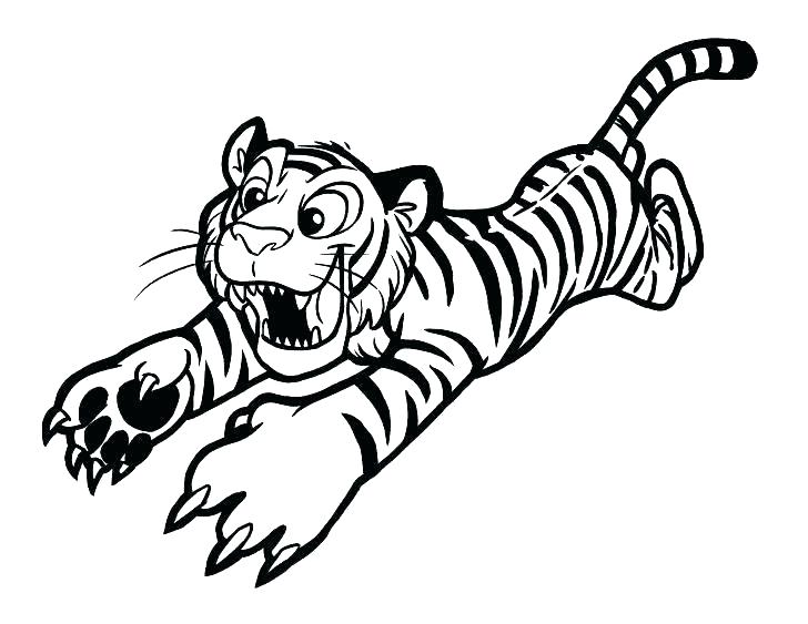 728x563 White Tiger Coloring Pages S White Tiger Colouring Pages