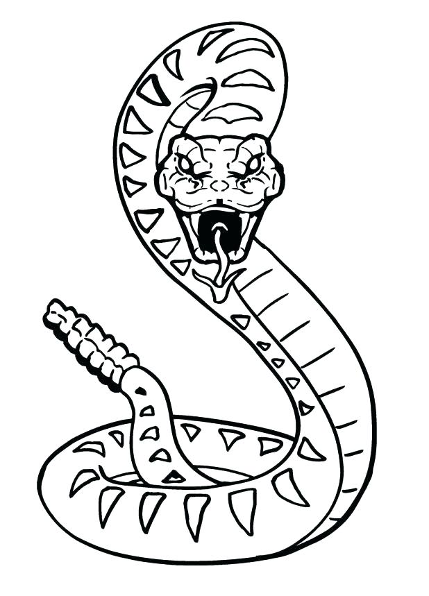 Cobra Snake Coloring Page Fresh Pages To Print Image King Download 618x859 Cobra Snake Coloring Page Fresh Pages To Print Image King Download