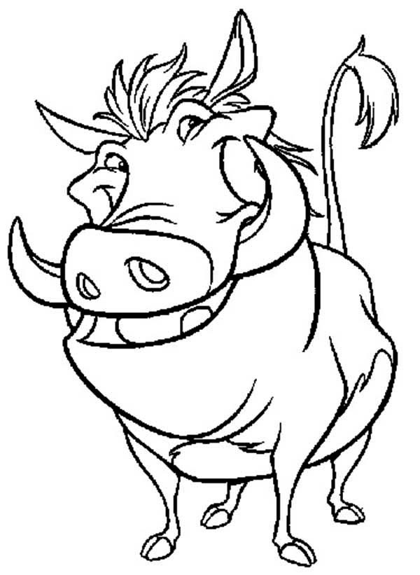 Timon And Pumbaa Coloring Pages New Simba Timon And Pumbaa Running 600x821 Timon And Pumbaa Coloring Pages New Simba Timon And Pumbaa Running