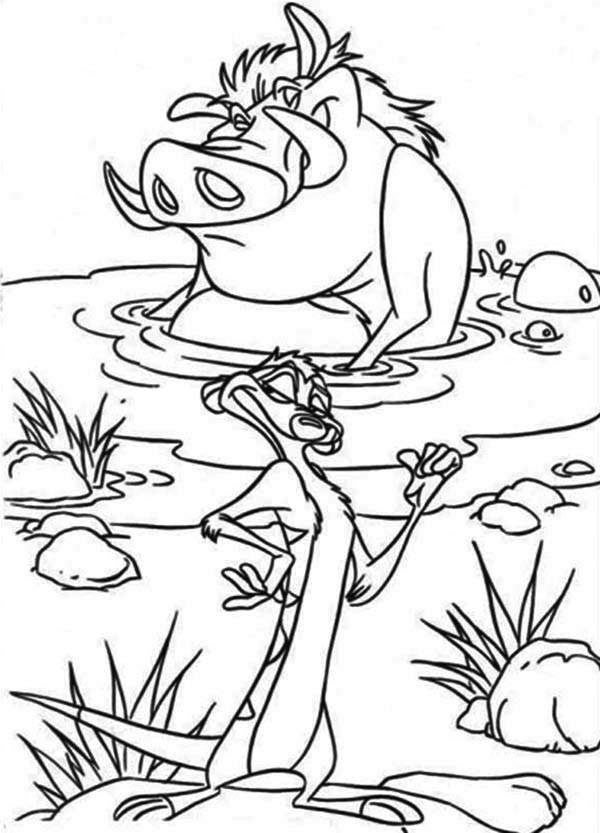 Printable The Lion King Coloring Pages 600x833 Printable The Lion King Coloring Pages
