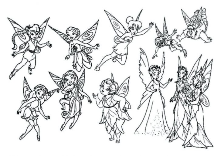 Tinkerbell And Friends Coloring Pages Pictures Free Printable 728x514 Tinkerbell And Friends Coloring Pages Pictures Free Printable