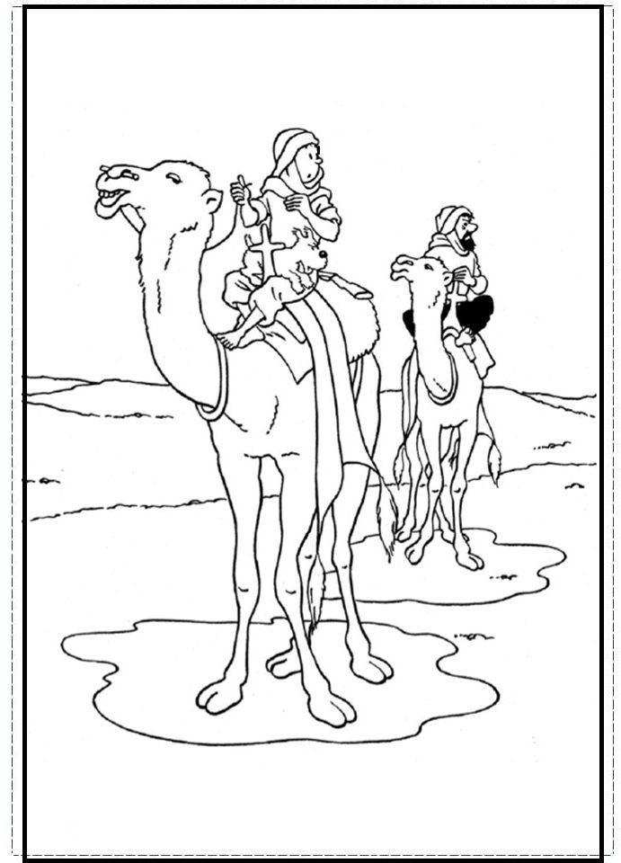 22 Best Colo Tintin Images On Tintin Coloring Books 691x960 22 Best Colo Tintin Images On Tintin Coloring Books