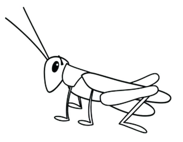 Grasshopper Coloring Pages Grasshopper Coloring Page Grasshopper 600x465 Grasshopper Coloring Pages Grasshopper Coloring Page Grasshopper