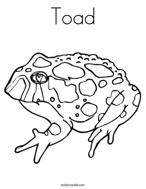 468x605 Toad Coloring Page