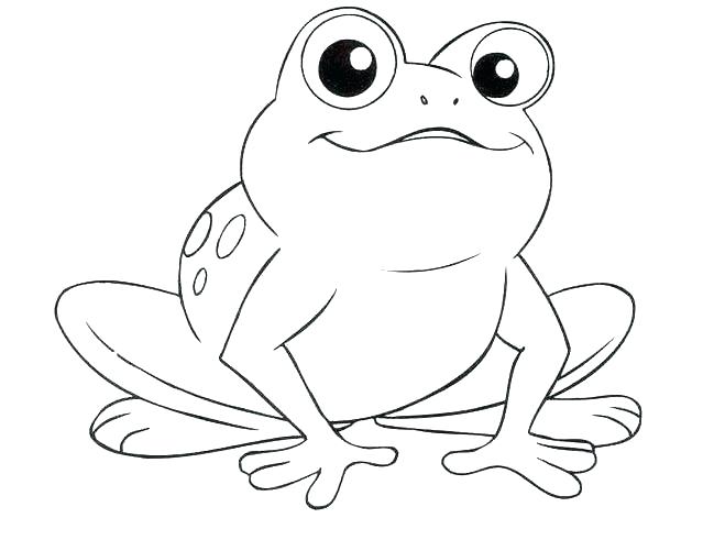 659x501 Toad Coloring Page School Amphibians Vs Reptiles Nintendo Toad