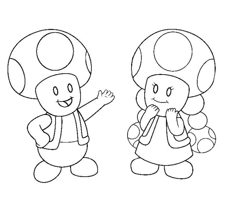 800x667 Toadette Coloring Pages