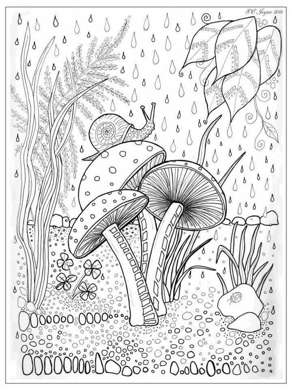 600x800 Mushroom And Snail Colouring Page