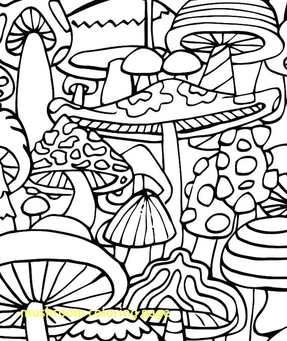 570x677 Trippy Mushroom Coloring Pages Mushroom Coloring Page