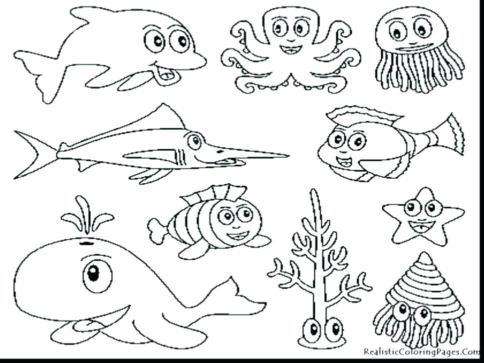 970x727 Ocean Animals Coloring Pages Pdf Printable Coloring Animal