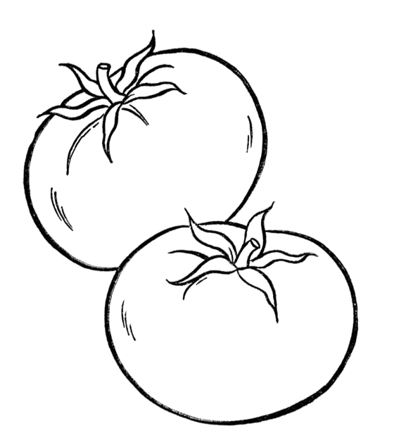 560x625 Healthy Tomato Vegetables Coloring Page Kids Coloring Pages