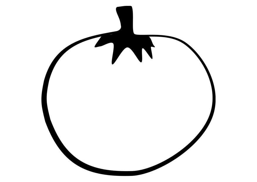 875x620 Coloring Page Tomato