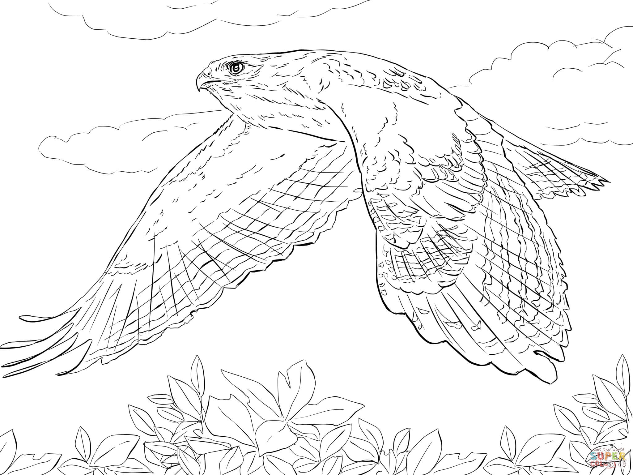 Tony Hawk Coloring Pages