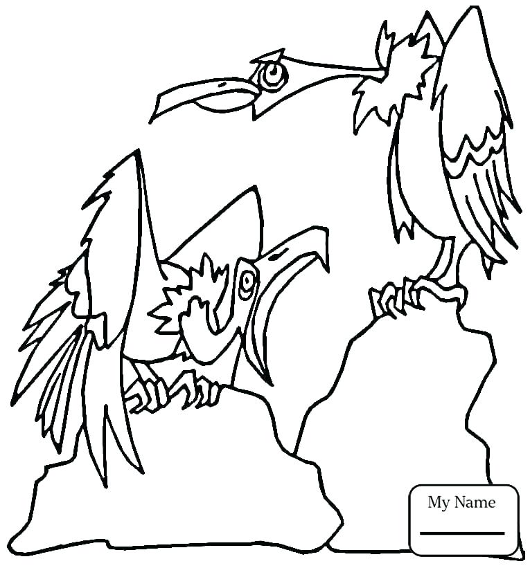 765x821 Hawk Coloring Pages
