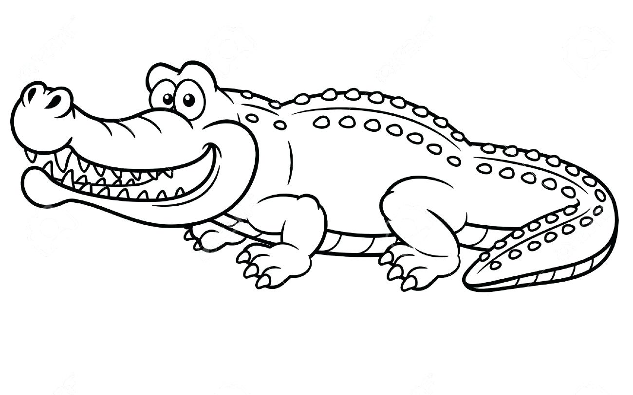 1300x812 New Alligator Color Page Top Coloring Pages Ideas