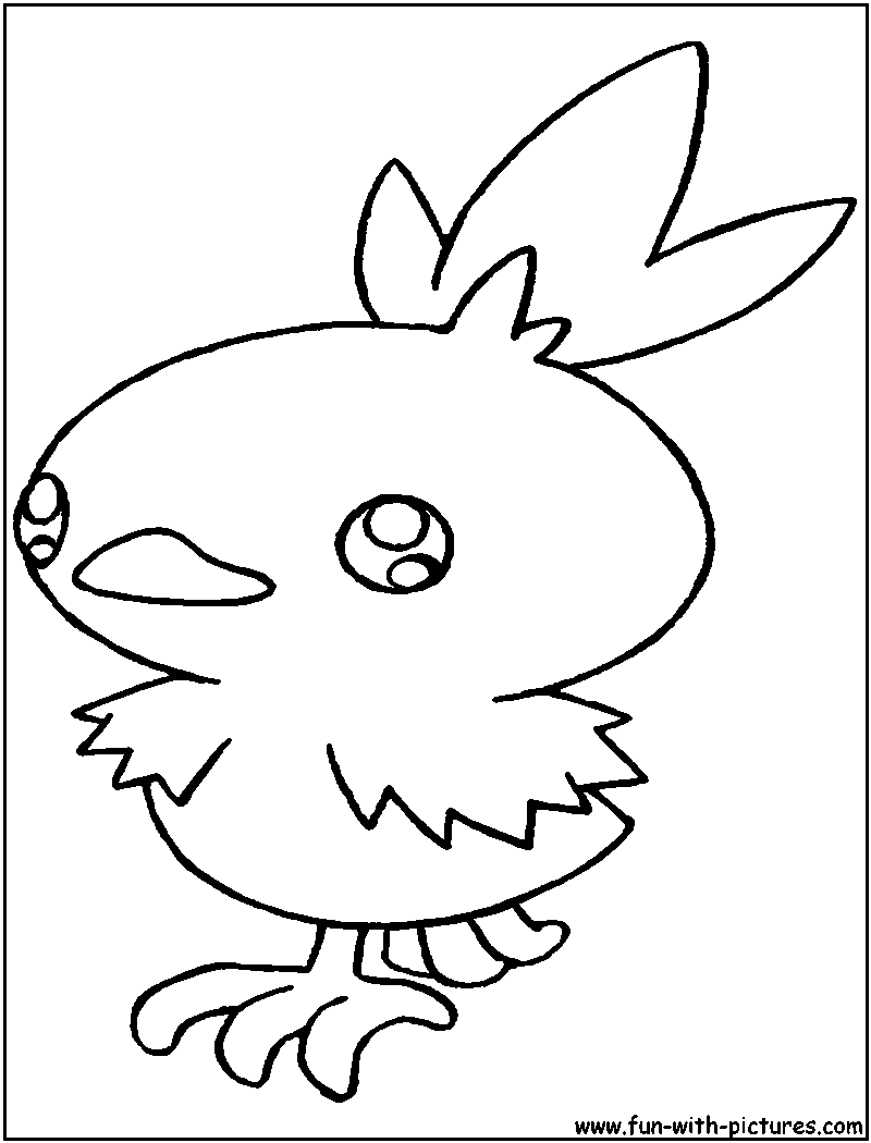 800x1050 Torchic Coloring Page