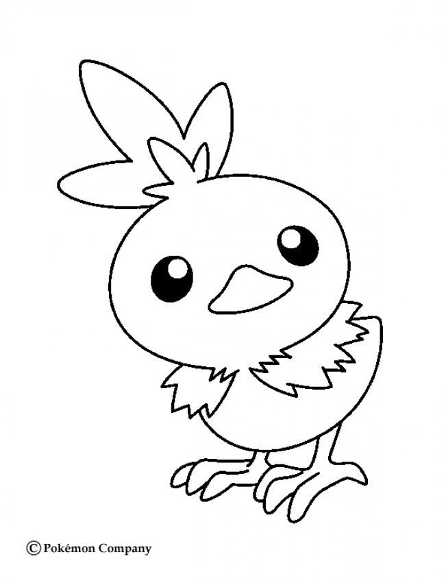 651x850 Torchic Coloring Pages