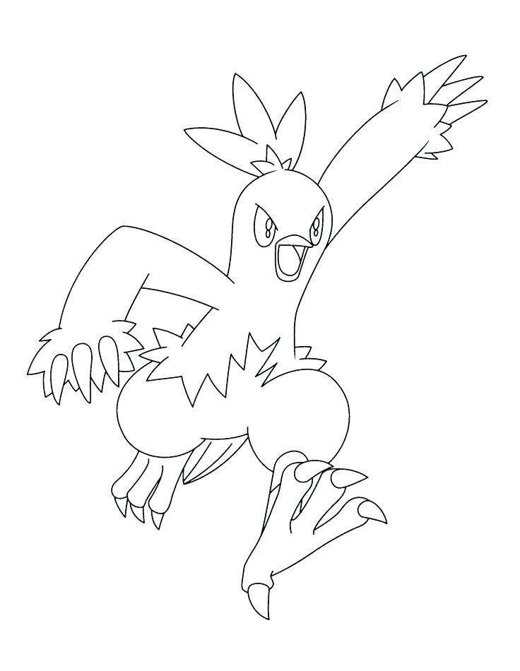 736x950 Torchic Coloring Pages Battles Coloring Pages And Coloring Pages