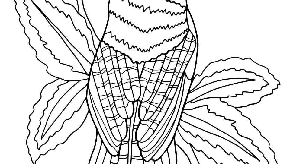 Toronto Blue Jays Coloring Sheet Page Blues Clues House Pages 960x544 Toronto Blue Jays Coloring Sheet Page Blues Clues House Pages