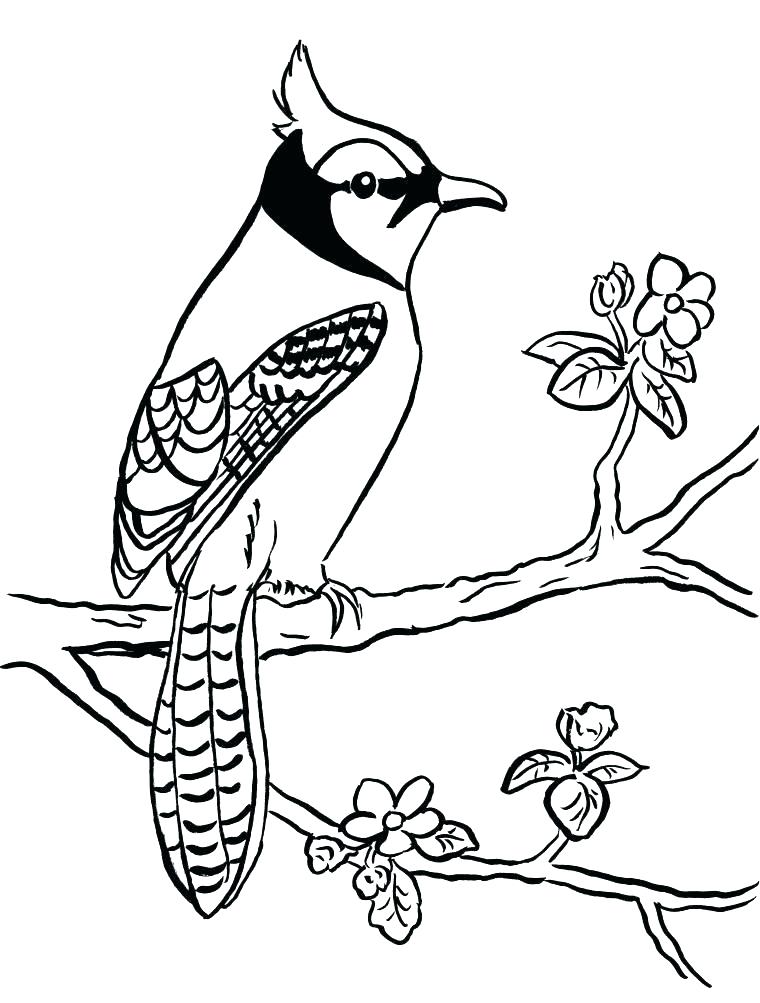 Blue Coloring Page Blue Coloring Pages One Fish Two Fish Red Fish 760x1003 Blue Coloring Page Blue Coloring Pages One Fish Two Fish Red Fish