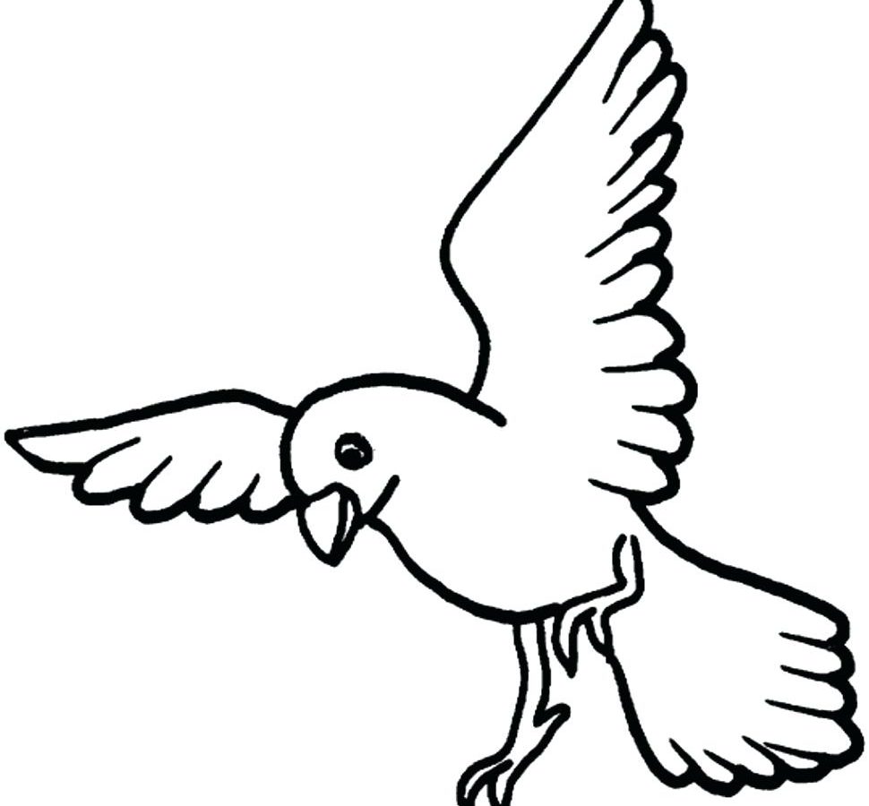 Dreaded Blue Jay Coloring Pages Bird Pagelyingor Kids Jays Logo 970x900 Dreaded Blue Jay Coloring Pages Bird Pagelyingor Kids Jays Logo