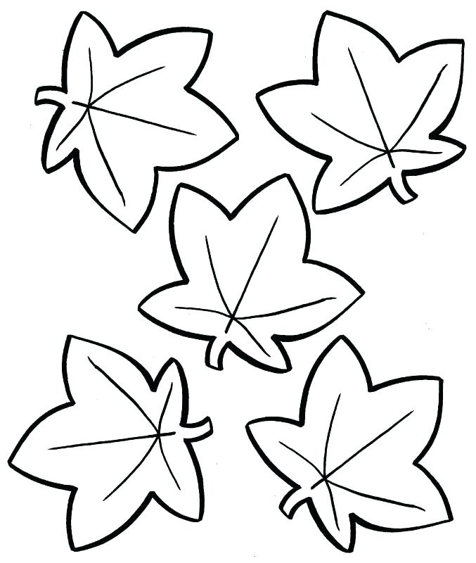 Toronto Maple Leaf Coloring Pages Printable Fall Page Leaves 677x800 Toronto Maple Leaf Coloring Pages Printable Fall Page Leaves