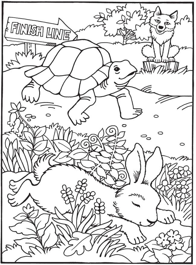 650x880 Best Loved Aesop's Fables The Tortoise And The Hare Ltgt Coloring