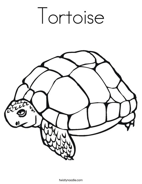 Tortoise Coloring Page 468x605 Tortoise Coloring Page