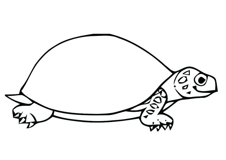 Tortoise Coloring Page Coloring Pages Turtles Ninja Big Head Small 750x531 Tortoise Coloring Page Coloring Pages Turtles Ninja Big Head Small