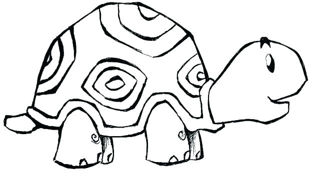Tortoise Coloring Page Tortoise Coloring Page Free Coloring Pages 618x347 Tortoise Coloring Page Tortoise Coloring Page Free Coloring Pages
