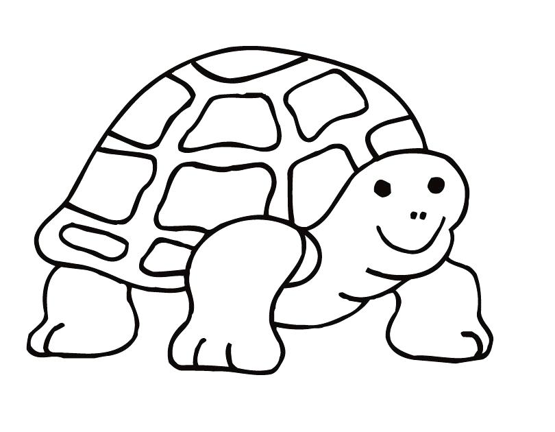 Tortoise Coloring Page Tortoise Coloring Page Galapagos Tortoise 810x630 Tortoise Coloring Page Tortoise Coloring Page Galapagos Tortoise