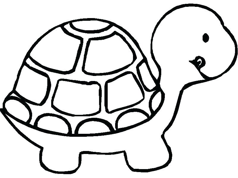 Tortoise Coloring Page Tortoise Coloring Page Tortoise Coloring 800x600 Tortoise Coloring Page Tortoise Coloring Page Tortoise Coloring