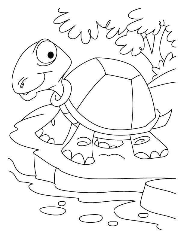 Tortoise Coloring Pages Thirsty 612x792 Tortoise Coloring Pages Thirsty
