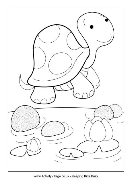 Tortoise Colouring Page 460x650 Tortoise Colouring Page