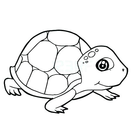 With Land Tortoise Coloring Pages Page Sometimes Called An Spurred 450x450 With Land Tortoise Coloring Pages Page Sometimes Called An Spurred