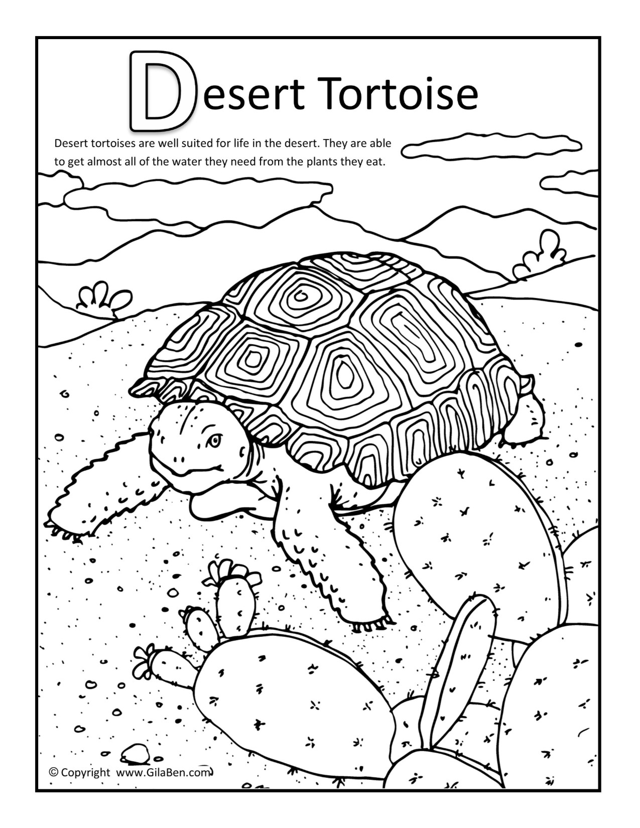 Desert Tortoise Coloring Page.jpg 1275x1650 Desert Tortoise Coloring Page.jpg