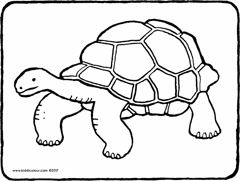 Nature Colouring Pages 800x602 Nature Colouring Pages