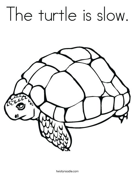 Tortoise Coloring Page 468x605 Tortoise Coloring Page