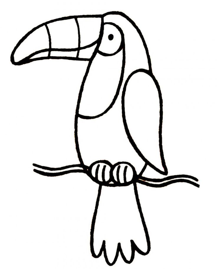 Toucan Bird Coloring Pages