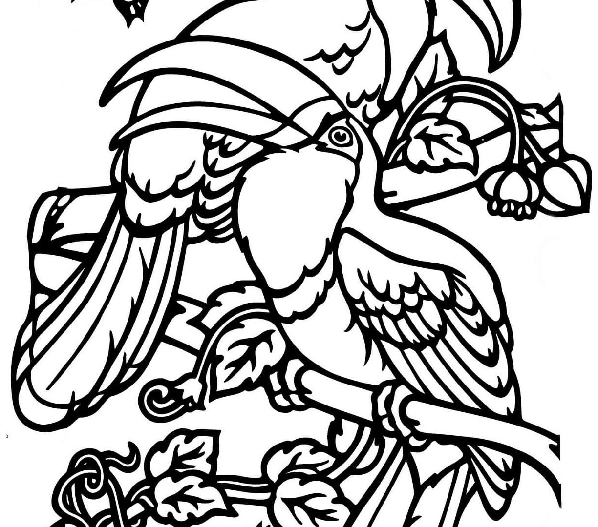 1224x1080 Toucan Coloring Page Lovely Pages Download Of Literarywondrous