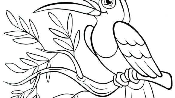 585x329 Toucan Coloring Page Toucan Coloring Page Toucan Coloring Pages