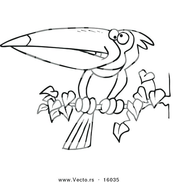 600x620 Toucan Coloring Pages Page Pencil And In Color Best Free Printable