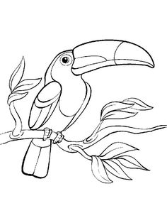236x314 Bird Coloring Pages 12 Digi Stamps Line Drawings