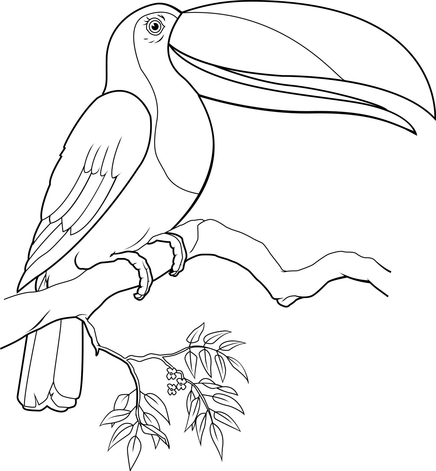 1387x1500 Toucan Coloring Page Free Of Toucans Coloring Pages For Toucan