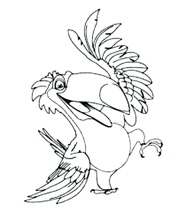 600x686 Toucan Coloring Page Romantic Coloring Pages Toucan Coloring Pages