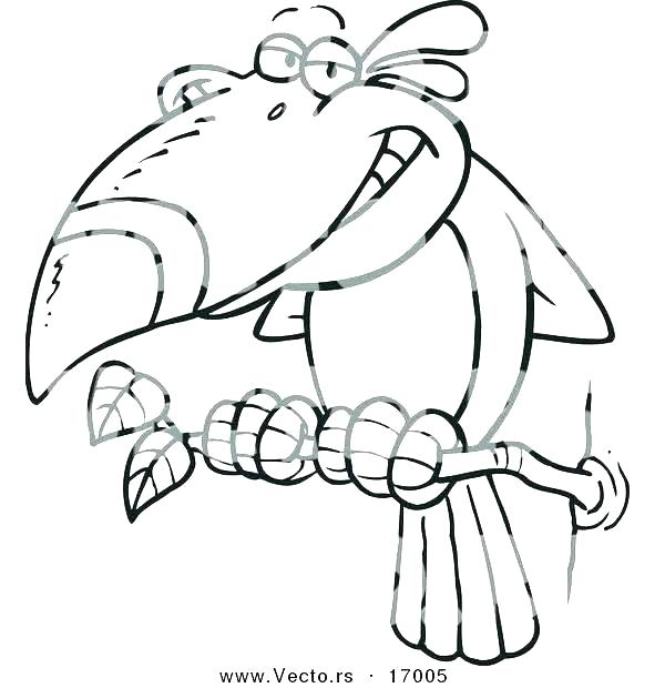 600x620 Toucan Coloring Page Toucan Coloring Page Toucan Coloring Page