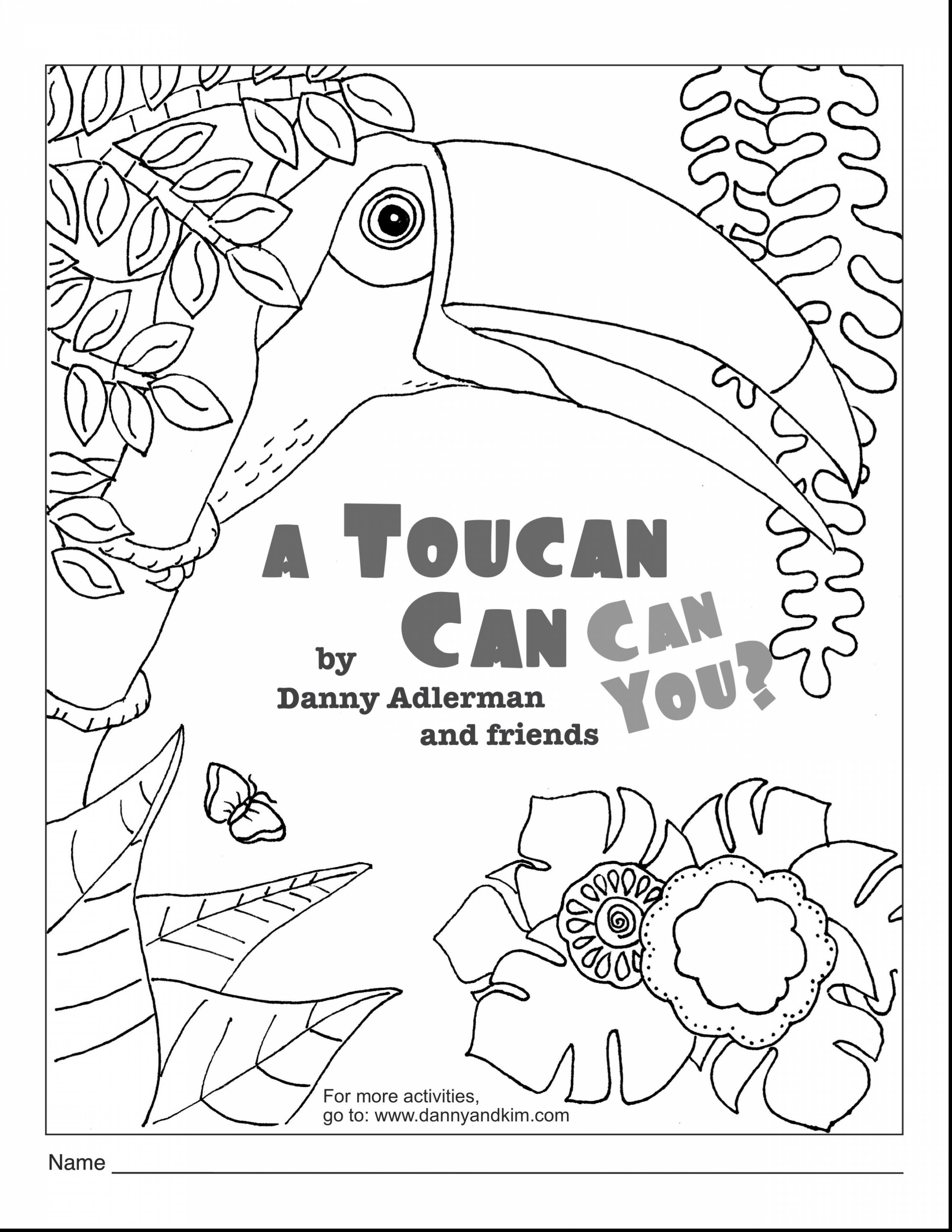 2805x3630 Amazing Toucan Coloring Page To Print
