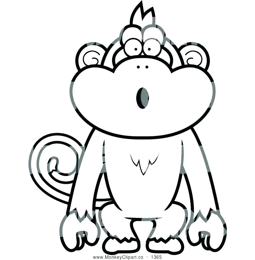 878x895 Toucan Coloring Page Toucan Coloring Pages Toucan Coloring Page