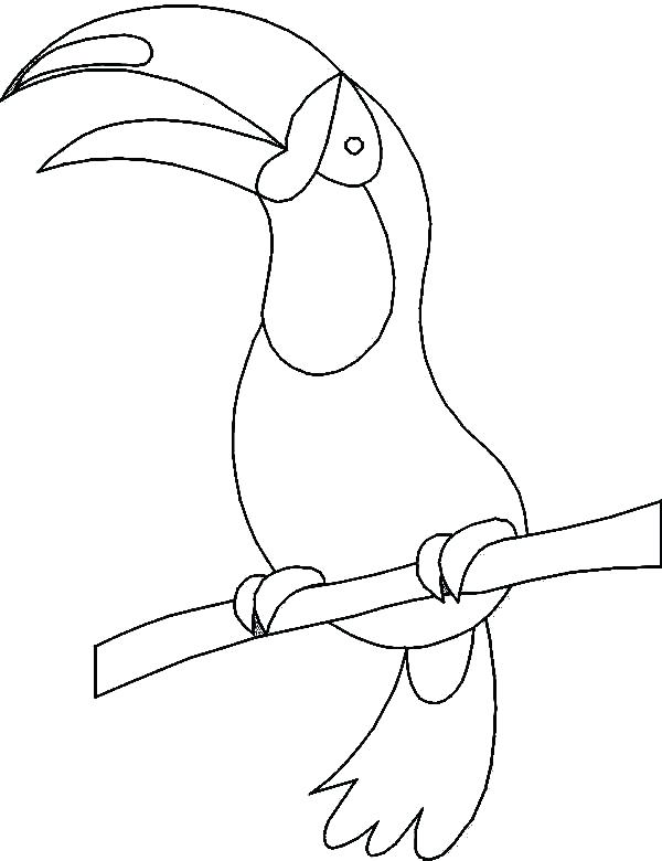 600x780 Toucan Coloring Pages Toucan Coloring Pages How To Draw A Toucan